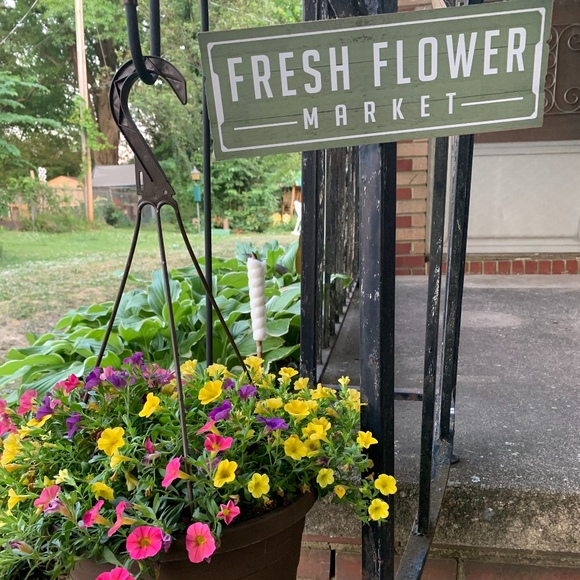 Meet your Posher, Patrina - Picture 1 of 1